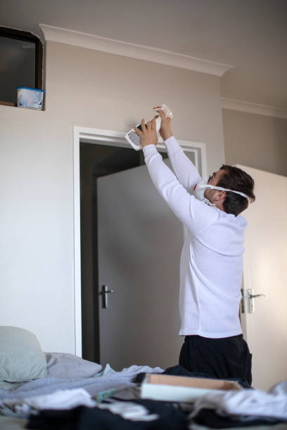 Best Basement Mold Removal  in Bryant, AR