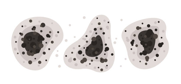 Best Air Quality Testing for Mold Spores  in Bryant, AR