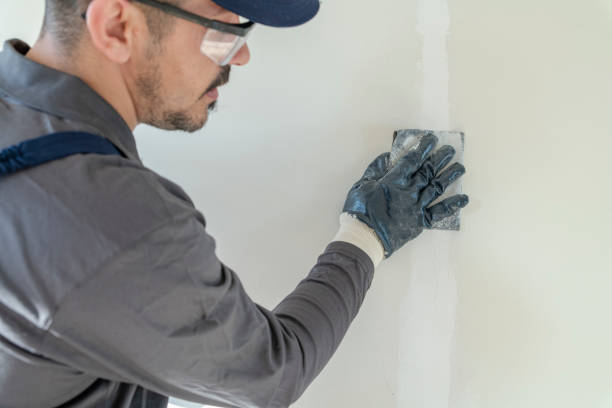 Professional Mold Removal in Bryant, AR