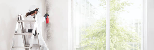 Best Mold Remediation for Healthcare Facilities  in Bryant, AR