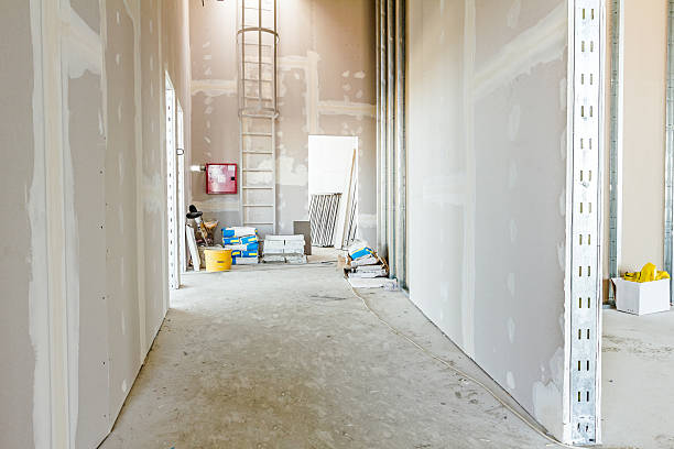 Best Post-Construction Mold Inspection  in Bryant, AR
