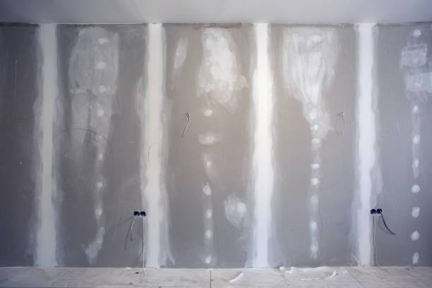 Best Asbestos and Lead Testing During Mold Inspection  in Bryant, AR